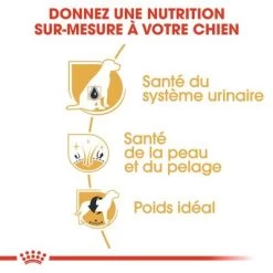 Royal Canin Bichon Frisé Pour Chien 13 Royal Canin Bichon Frisé Pour Chien -Pet Care Soldes rc bhn bichonfrise cv eretailkit 3 fr fr 9