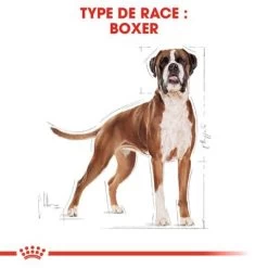 Royal Canin Boxer Adult Pour Chien -Pet Care Soldes rc bhn boxer cv eretailkit 1 fr fr 3
