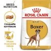 Royal Canin Boxer Adult Pour Chien -Pet Care Soldes rc bhn boxer mv eretailkit fr fr 8