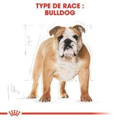 Royal Canin Bouledogue Adult Pour Chien -Pet Care Soldes rc bhn bulldog cv eretailkit 1 fr fr 4