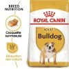 Royal Canin Bouledogue Adult Pour Chien -Pet Care Soldes rc bhn bulldog mv eretailkit fr fr 8
