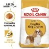 Royal Canin Cavalier King Charles Adult Pour Chien -Pet Care Soldes rc bhn cavalierkingcharles mv eretailkit fr fr 5