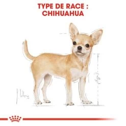 Royal Canin Chihuahua Adult Pour Chien -Pet Care Soldes rc bhn chihuahua cv eretailkit 1 fr fr 9