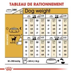 Royal Canin Chihuahua Adult Pour Chien -Pet Care Soldes rc bhn chihuahua cv eretailkit 5 fr fr 1