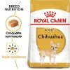 Royal Canin Chihuahua Adult Pour Chien -Pet Care Soldes rc bhn chihuahua mv eretailkit fr fr 6