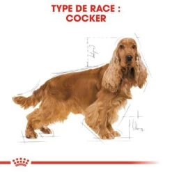 Royal Canin Cocker Adult Pour Chien -Pet Care Soldes rc bhn cocker cv eretailkit 1 fr fr 9