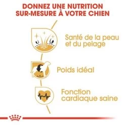 Royal Canin Cocker Adult Pour Chien -Pet Care Soldes rc bhn cocker cv eretailkit 3 fr fr 5