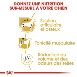 Royal Canin Teckel Adult Pour Chien 14 Royal Canin Teckel Adult Pour Chien -Pet Care Soldes rc bhn dachshund cv eretailkit 3 fr fr 8
