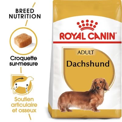 Royal Canin Teckel Adult Pour Chien 3 Royal Canin Teckel Adult Pour Chien