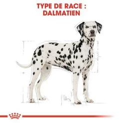 Royal Canin Dalmatien Adult Pour Chien -Pet Care Soldes rc bhn dalmatian cv eretailkit 1 fr fr 9