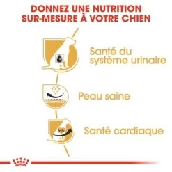 Royal Canin Dalmatien Adult Pour Chien -Pet Care Soldes rc bhn dalmatian cv eretailkit 3 fr fr 7