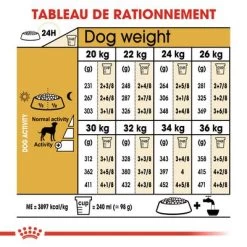 Royal Canin Dalmatien Adult Pour Chien -Pet Care Soldes rc bhn dalmatian cv eretailkit 5 fr fr 8