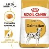 Royal Canin Dalmatien Adult Pour Chien -Pet Care Soldes rc bhn dalmatian mv eretailkit fr fr 0