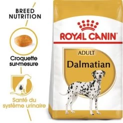 Royal Canin Dalmatien Adult Pour Chien