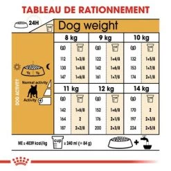 Royal Canin Bouledogue Français Adult Pour Chien -Pet Care Soldes rc bhn frenchbulldog cv eretailkit 5 fr fr 4