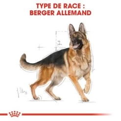 Royal Canin Berger Allemand Adult Pour Chien -Pet Care Soldes rc bhn germanshepherd cv eretailkit 1 fr fr 2