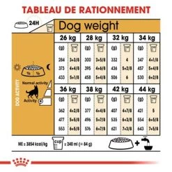 Royal Canin Berger Allemand Adult Pour Chien -Pet Care Soldes rc bhn germanshepherd cv eretailkit 5 fr fr 1