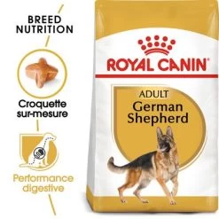 Royal Canin Berger Allemand Adult Pour Chien