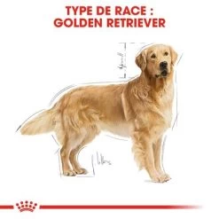 Royal Canin Golden Retriever Adult Pour Chien -Pet Care Soldes rc bhn goldenretriever cv eretailkit 1 fr fr 2
