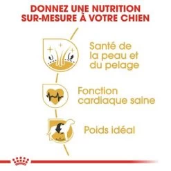 Royal Canin Golden Retriever Adult Pour Chien -Pet Care Soldes rc bhn goldenretriever cv eretailkit 3 fr fr 1