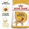 Royal Canin Golden Retriever Adult Pour Chien 2 Royal Canin Golden Retriever Adult Pour Chien -Pet Care Soldes rc bhn goldenretriever mv eretailkit fr fr 3
