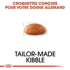 Royal Canin Dogue Allemand Adult Pour Chien -Pet Care Soldes rc bhn greatdane cv eretailkit 2 fr fr 1