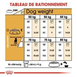 Royal Canin Dogue Allemand Adult Pour Chien -Pet Care Soldes rc bhn greatdane cv eretailkit 5 fr fr 7