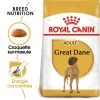 Royal Canin Dogue Allemand Adult Pour Chien 1 Royal Canin Dogue Allemand Adult Pour Chien -Pet Care Soldes rc bhn greatdane mv eretailkit fr fr 8
