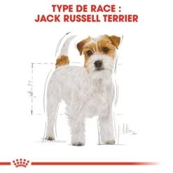 Royal Canin Jack Russell Terrier Adult Pour Chien -Pet Care Soldes rc bhn jackrussell cv eretailkit 1 fr fr 0
