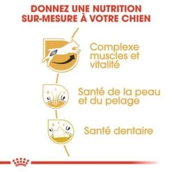 Royal Canin Jack Russell Terrier Adult Pour Chien -Pet Care Soldes rc bhn jackrussell cv eretailkit 3 fr fr 0