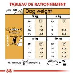Royal Canin Jack Russell Terrier Adult Pour Chien -Pet Care Soldes rc bhn jackrussell cv eretailkit 5 fr fr 0
