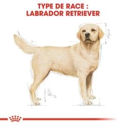 Royal Canin Labrador Retriever Adult Pour Chien -Pet Care Soldes rc bhn labrador cv eretailkit 1 fr fr 0