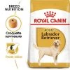 Royal Canin Labrador Retriever Adult Pour Chien
