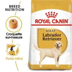 Royal Canin Labrador Retriever Adult Pour Chien