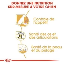 Royal Canin Labrador Retriever Adult Sterilised -Pet Care Soldes rc bhn labradorsterilised cv eretailkit 3 fr fr 9