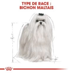 Royal Canin Bichon Maltais Adult Pour Chien -Pet Care Soldes rc bhn maltese cv eretailkit 1 fr fr 8