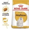 Royal Canin Bichon Maltais Adult Pour Chien -Pet Care Soldes rc bhn maltese mv eretailkit fr fr 1