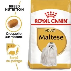 Royal Canin Bichon Maltais Adult Pour Chien