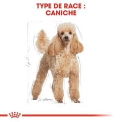 Royal Canin Caniche Adult Pour Chien 11 Royal Canin Caniche Adult Pour Chien -Pet Care Soldes rc bhn poodle cv eretailkit 1 fr fr 6