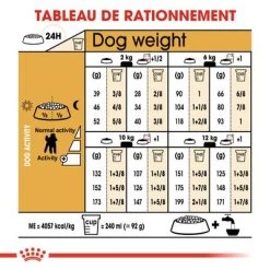 Royal Canin Caniche Adult Pour Chien 15 Royal Canin Caniche Adult Pour Chien -Pet Care Soldes rc bhn poodle cv eretailkit 5 fr fr 4