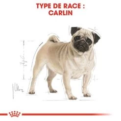 Royal Canin Carlin Adult Pour Chien -Pet Care Soldes rc bhn pug cv eretailkit 1 fr fr 1