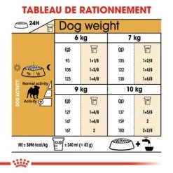 Royal Canin Carlin Adult Pour Chien -Pet Care Soldes rc bhn pug cv eretailkit 5 fr fr 3
