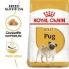 Royal Canin Carlin Adult Pour Chien -Pet Care Soldes rc bhn pug mv eretailkit fr fr 2