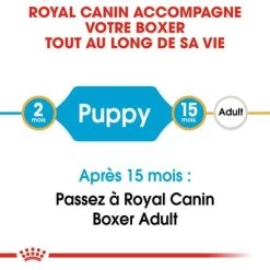 Royal Canin Boxer Puppy Pour Chiot 17 Royal Canin Boxer Puppy Pour Chiot -Pet Care Soldes rc bhn puppyboxer cm eretailkit 1 fr fr 0