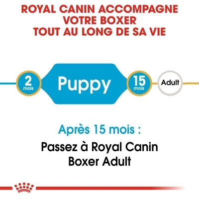 Royal Canin Boxer Puppy Pour Chiot 10 Royal Canin Boxer Puppy Pour Chiot – Image 8