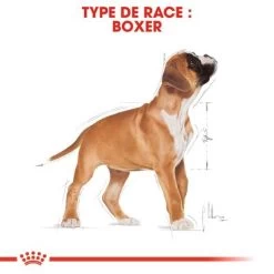 Royal Canin Boxer Puppy Pour Chiot 15 Royal Canin Boxer Puppy Pour Chiot -Pet Care Soldes rc bhn puppyboxer cm eretailkit 4 fr fr 3