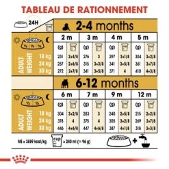 Royal Canin Bouledogue Puppy Pour Chiot -Pet Care Soldes rc bhn puppybulldog cm eretailkit 5 fr fr 1