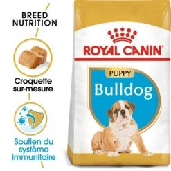 Royal Canin Bouledogue Puppy Pour Chiot