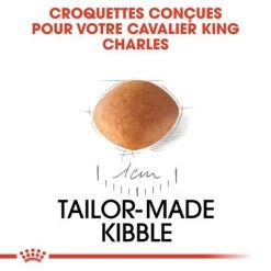 Royal Canin Cavalier King Charles Puppy Pour Chiot -Pet Care Soldes rc bhn puppycavalierkingcharles cm eretailkit 2 fr fr 0