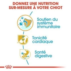 Royal Canin Cavalier King Charles Puppy Pour Chiot -Pet Care Soldes rc bhn puppycavalierkingcharles cm eretailkit 3 fr fr 5